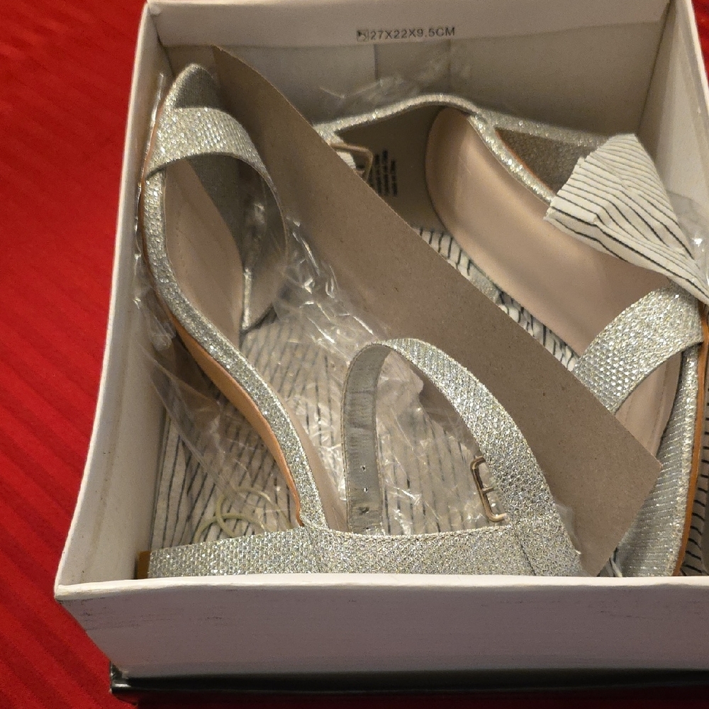 Shimmering Silver Women's Heels
